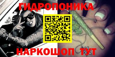 индика Уссурийск