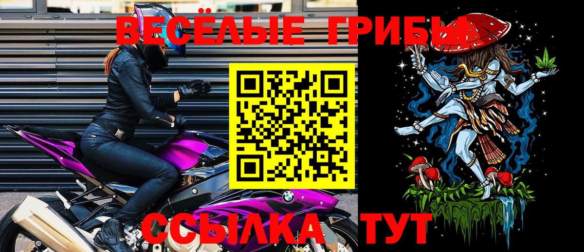 Псилоцибиновые грибы MAGIC MUSHROOMS Рязань
